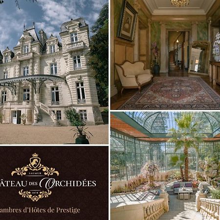 Chateau Des Orchidees En Val De Loire โซมูร์ ภายนอก รูปภาพ