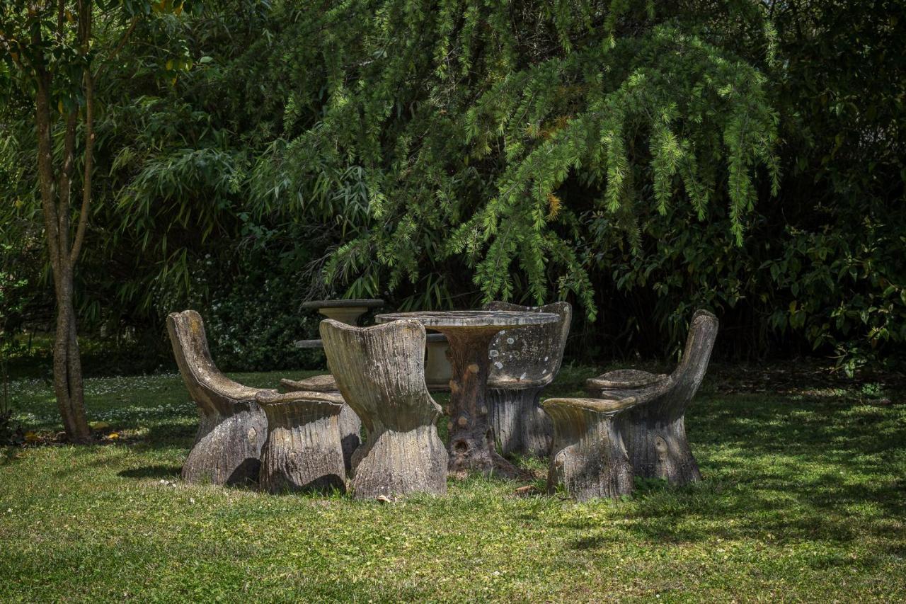 Chateau Des Orchidees En Val De Loire โซมูร์ ภายนอก รูปภาพ