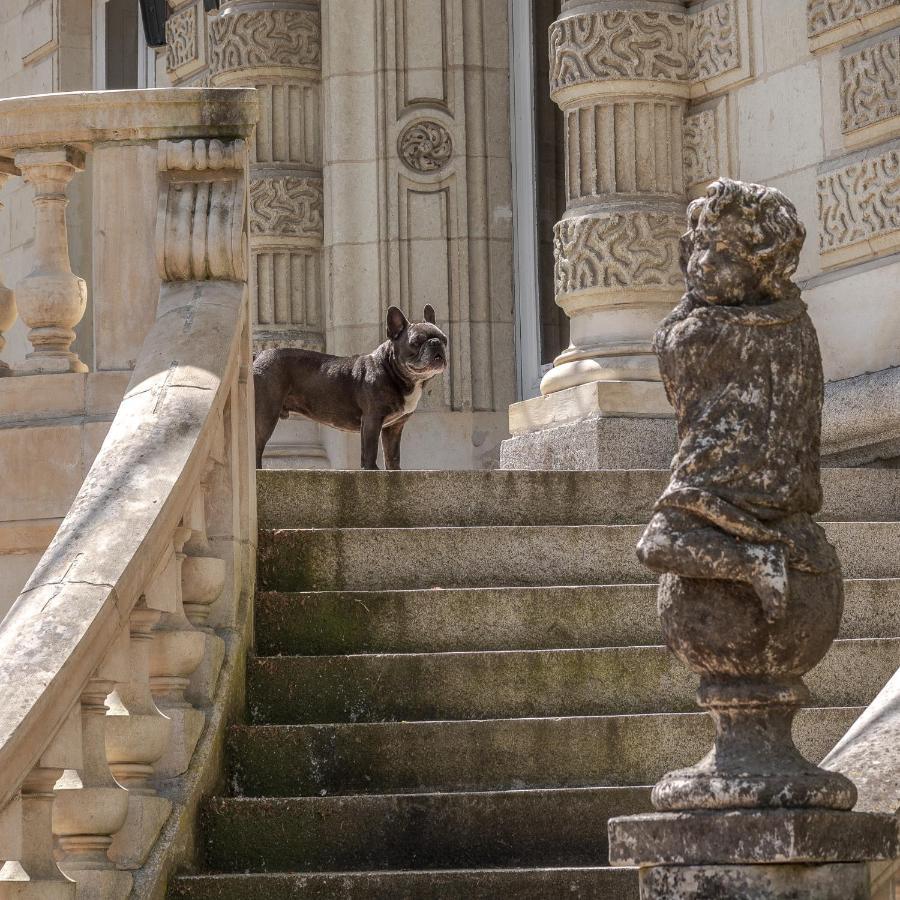 Chateau Des Orchidees En Val De Loire โซมูร์ ภายนอก รูปภาพ