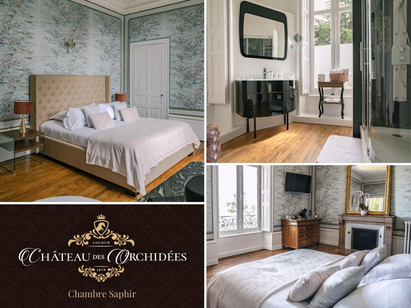 Chateau Des Orchidees En Val De Loire โซมูร์ ภายนอก รูปภาพ