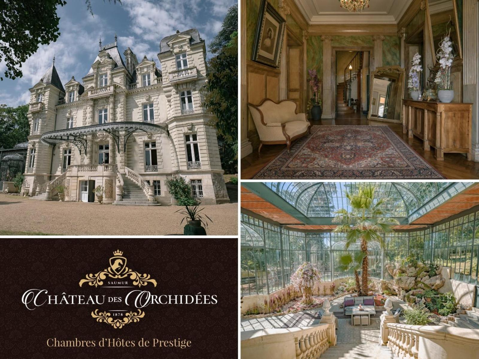 Chateau Des Orchidees En Val De Loire โซมูร์ ภายนอก รูปภาพ