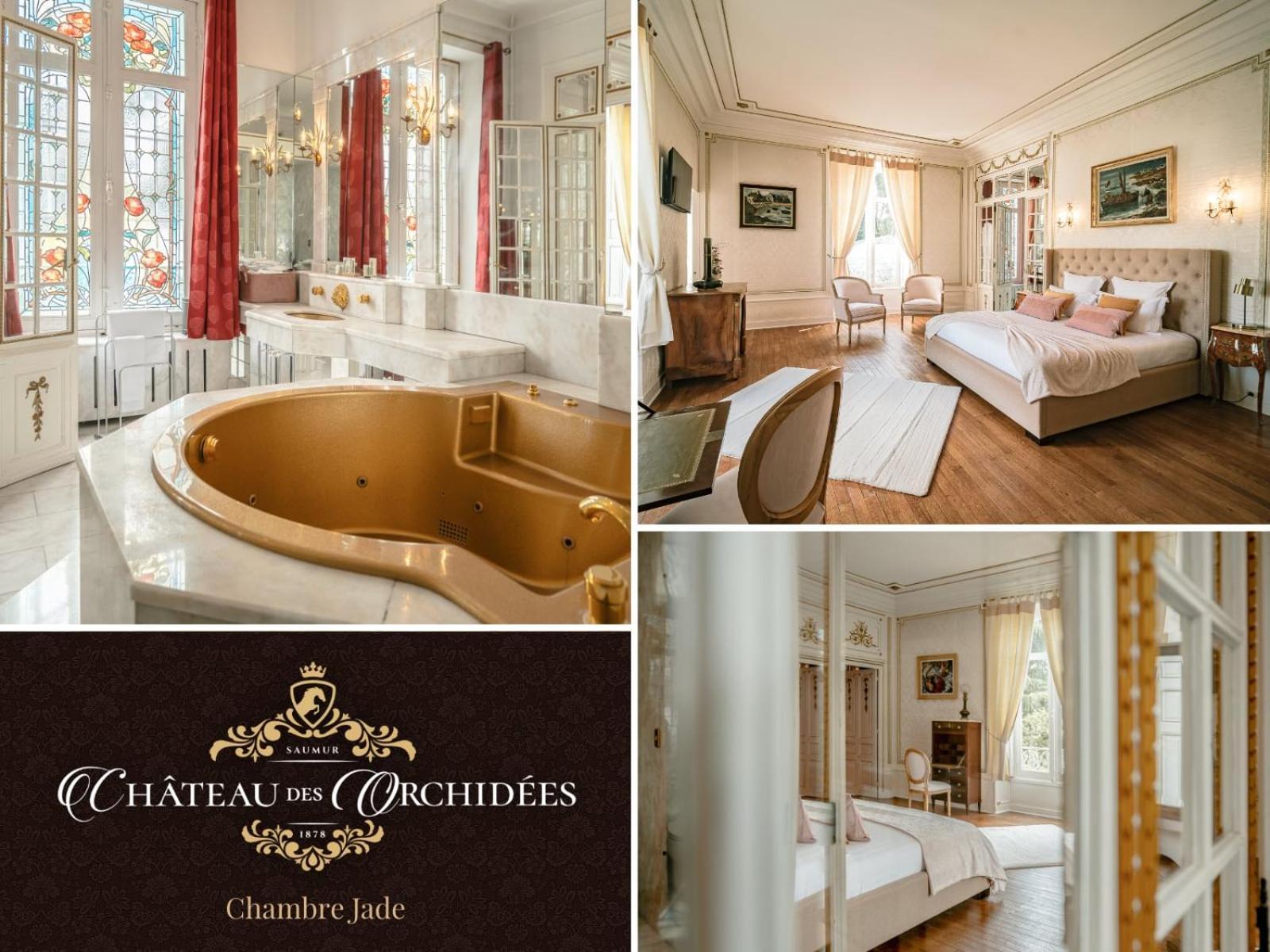Chateau Des Orchidees En Val De Loire โซมูร์ ภายนอก รูปภาพ