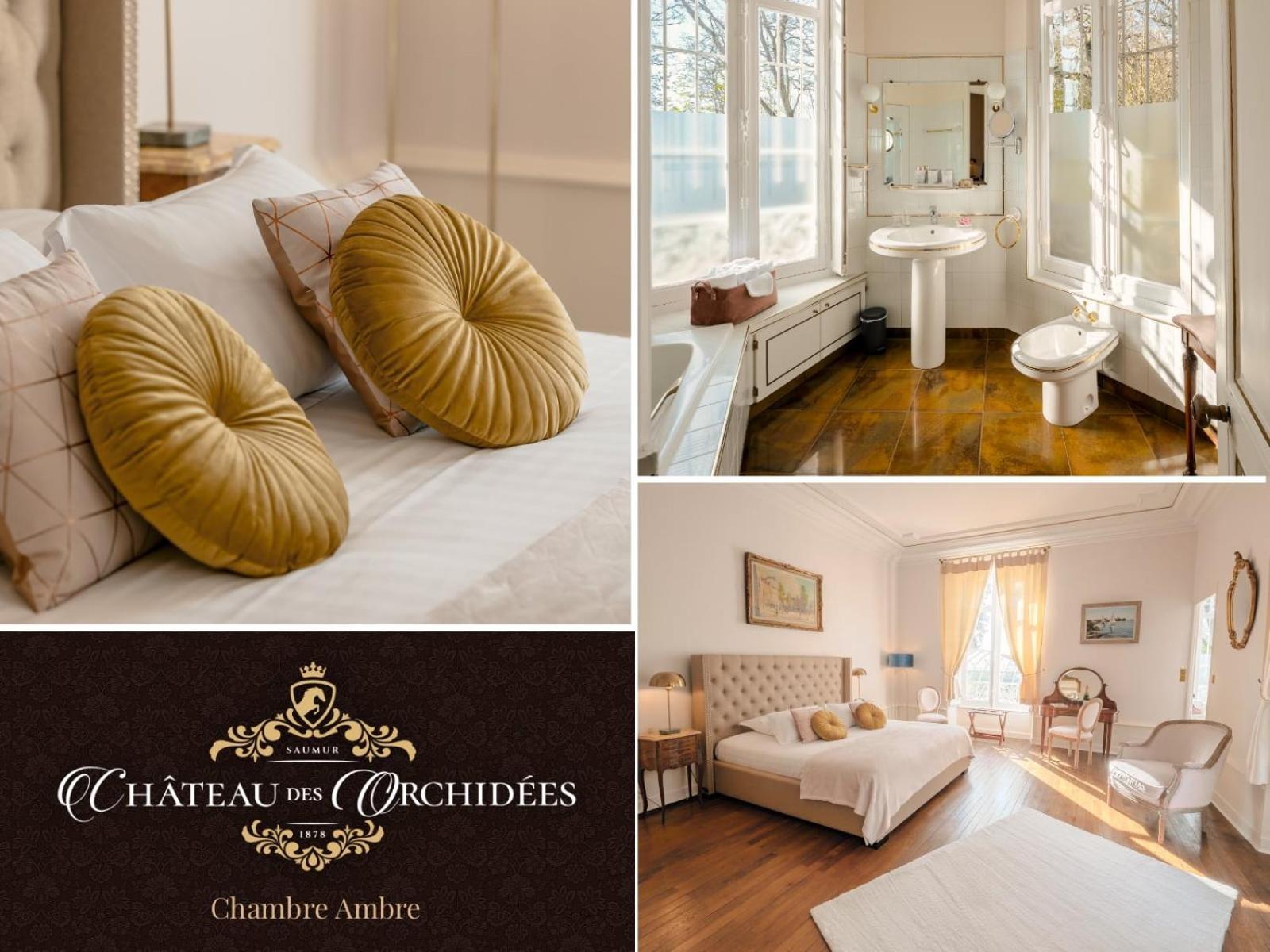 Chateau Des Orchidees En Val De Loire โซมูร์ ภายนอก รูปภาพ